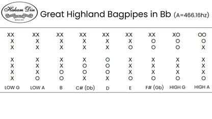 Highland Bagpipe | C-25 | Imitation Ivory Mounts, Nickle Slides & Ferrules